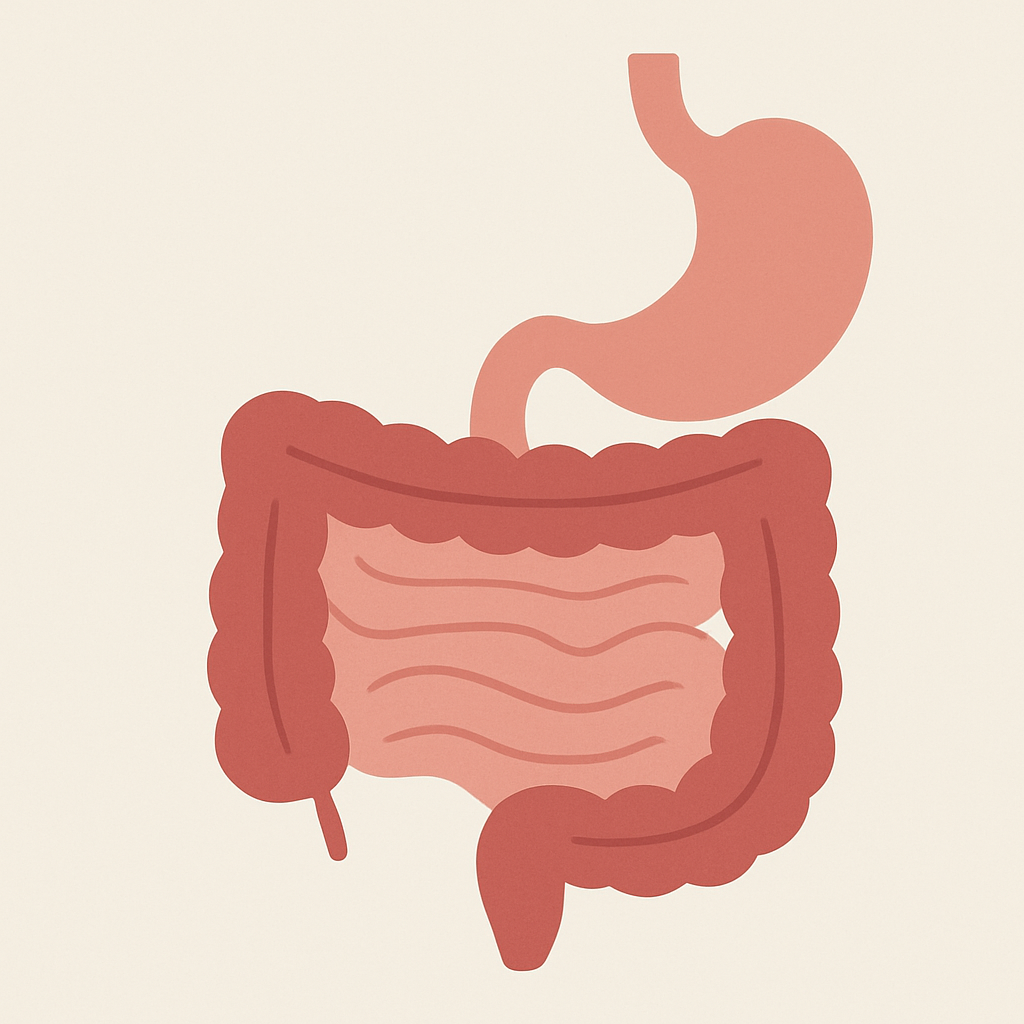 gi tract